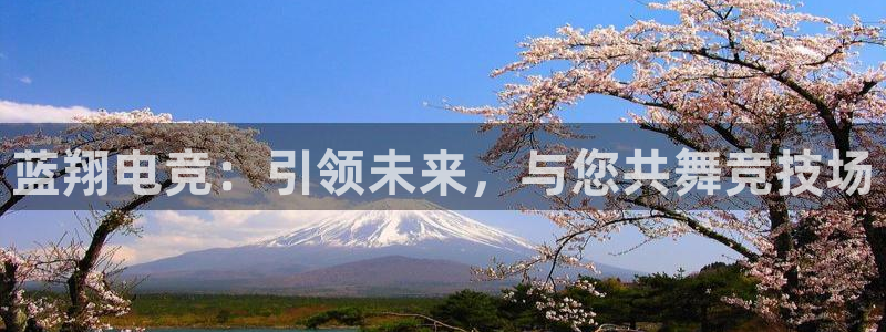 完美电竞竞技平台
