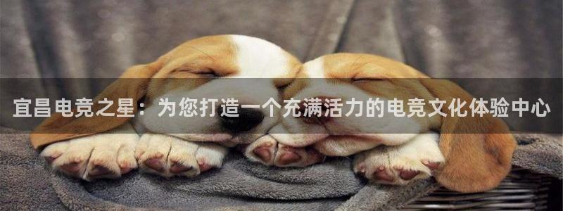 完美电竞平台官网
