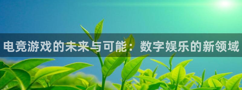 完美电竞开箱