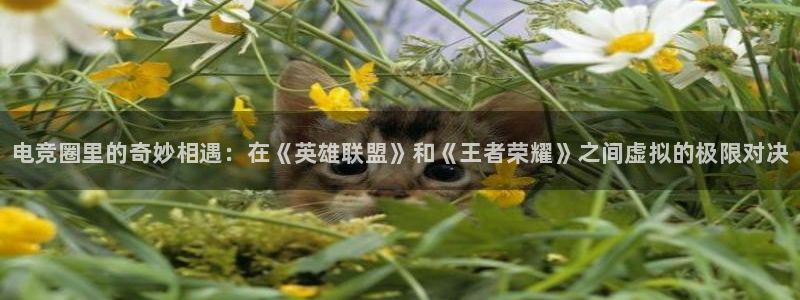 完美电竞平台排行榜