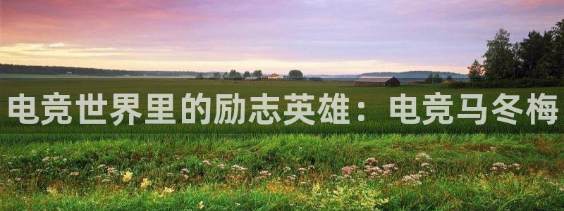 完美电竞app