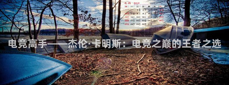 完美电竞下载
