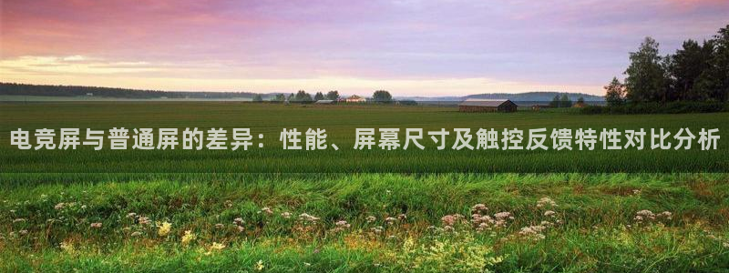 完美电竞下载
