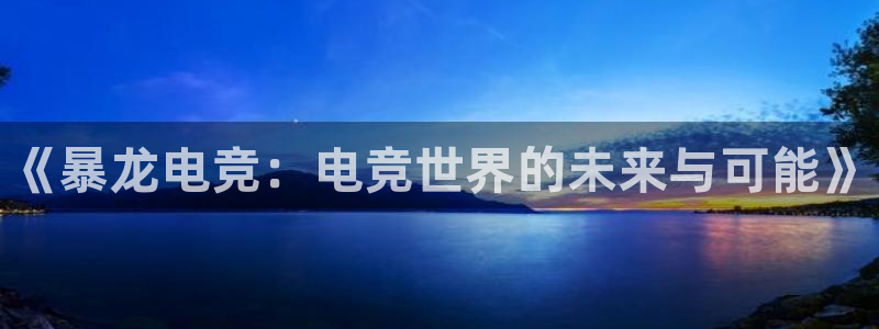 完美电竞cs