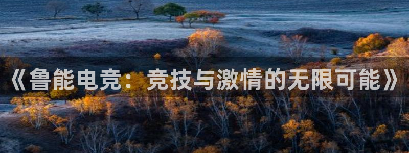 完美电竞竞技平台