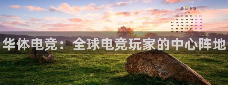 cs完美电竞平台