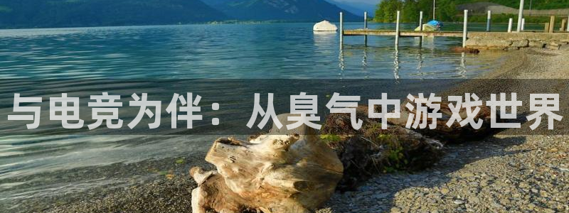 完美电竞世界