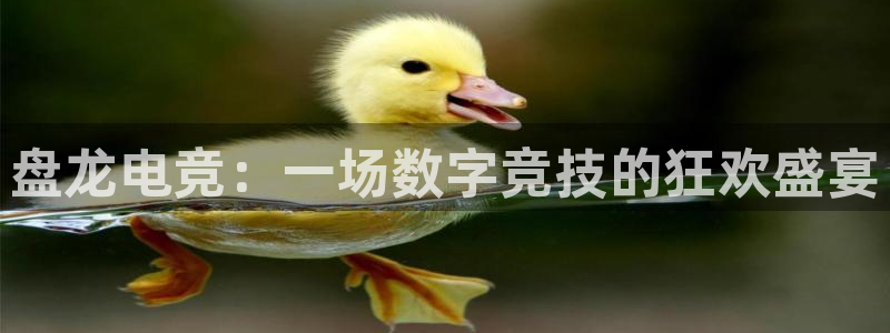 完美电竞注册